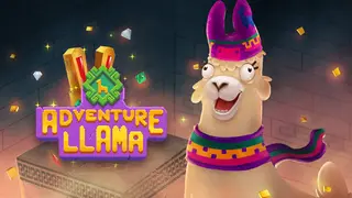 Adventure Llama