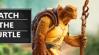 Catch the Turtle