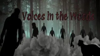 Voices in the Woods