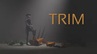 TRIM