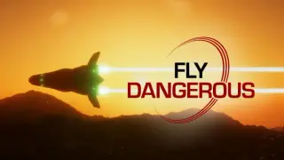 Fly Dangerous