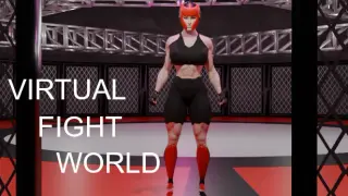 Virtual Fight World