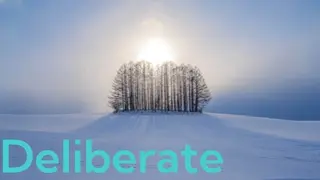 Deliberate