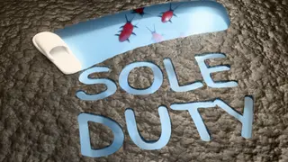 Sole Duty