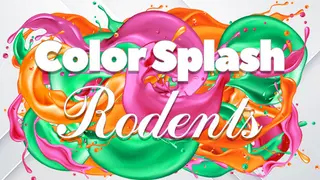 Color Splash: Rodents