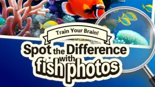 Train Your Brain! Spot the Difference with fish photos - Switch
