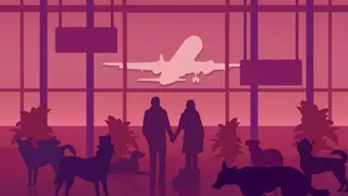 An Airport for Aliens Currently Run by Dogs (Xbox Series)
