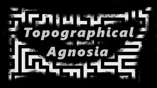Topographical Agnosia