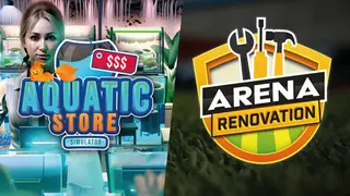 Arena Renovation in Aquatic Store