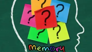 Memory Lane - Switch