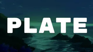 PLATE