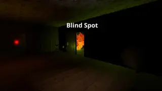 Blind Spot