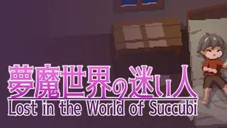 Lost in the World of Succubi