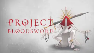 Project Blood Sword - Rogue Like Power Fantasy Game