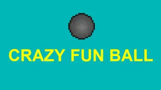 Crazy Fun Ball