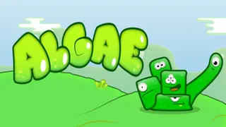 Algae