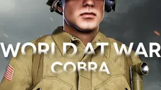 World At War: Cobra - Switch