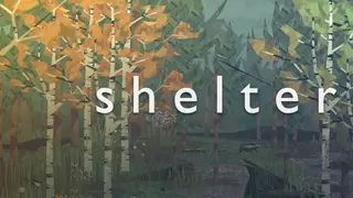 Shelter
