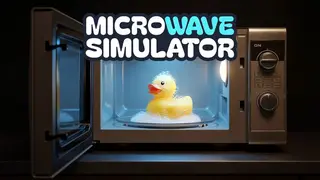 Microwave Simulator