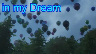 in my Dream