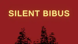 SILENT BIBUS