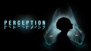 Perception - Switch