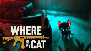 where is my cat