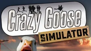 Crazy Goose Simulator - Switch