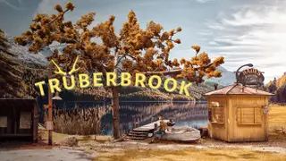 Trüberbrook