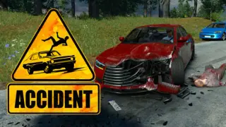 Accident: The Pilot