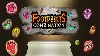 Footprints Combination