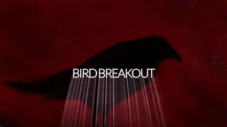 Bird Breakout
