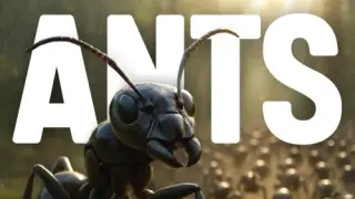 Ants Empire Colony - Switch