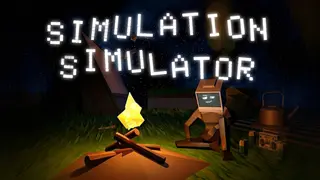 Simulation Simulator
