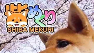 Pixel Game Maker Series Shiba Mekuri - Switch