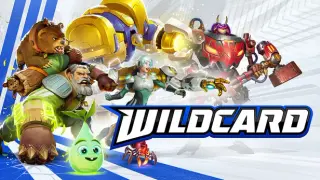 Wildcard