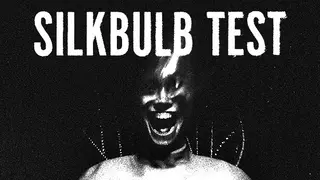 silkbulb test