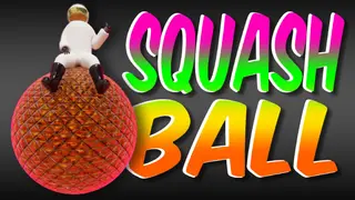 Squash Ball