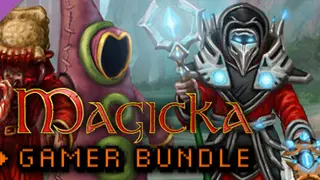 Magicka: Gamer Bundle