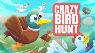 Crazy Bird Hunt