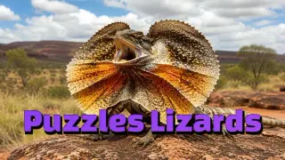 Puzzles Lizards