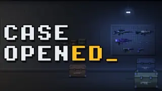 Case Opened