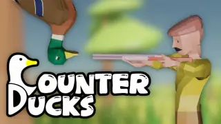 Counter Ducks