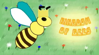 Kingdom of Bees