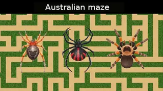 Australian maze