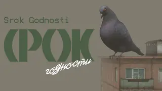 Srok Godnosti