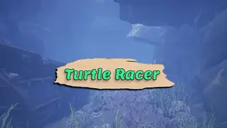 Turtle Racer