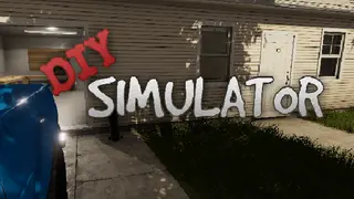 DIY Simulator