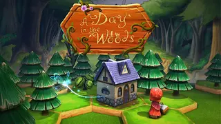 A Day In The Woods