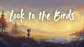 Look to the Birds